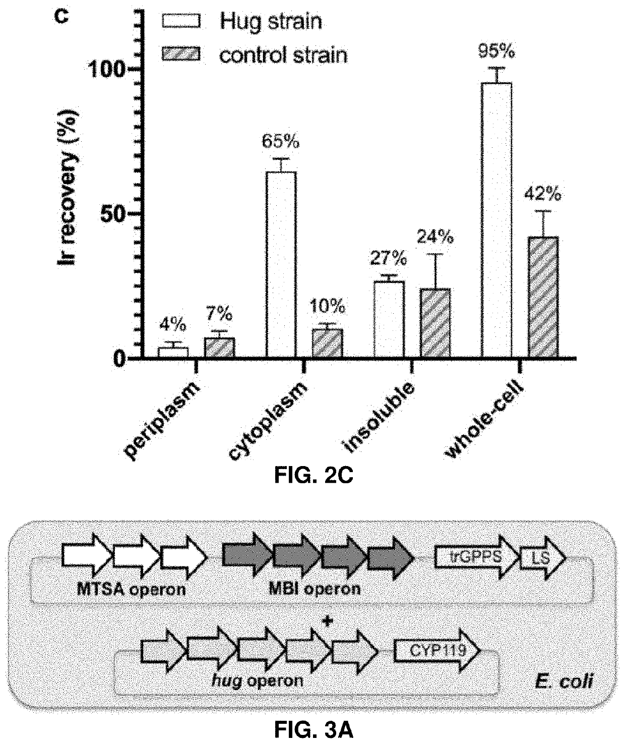 Host cells and methods useful for producing unnatural terpenoids using a novel artificial metalloenzyme