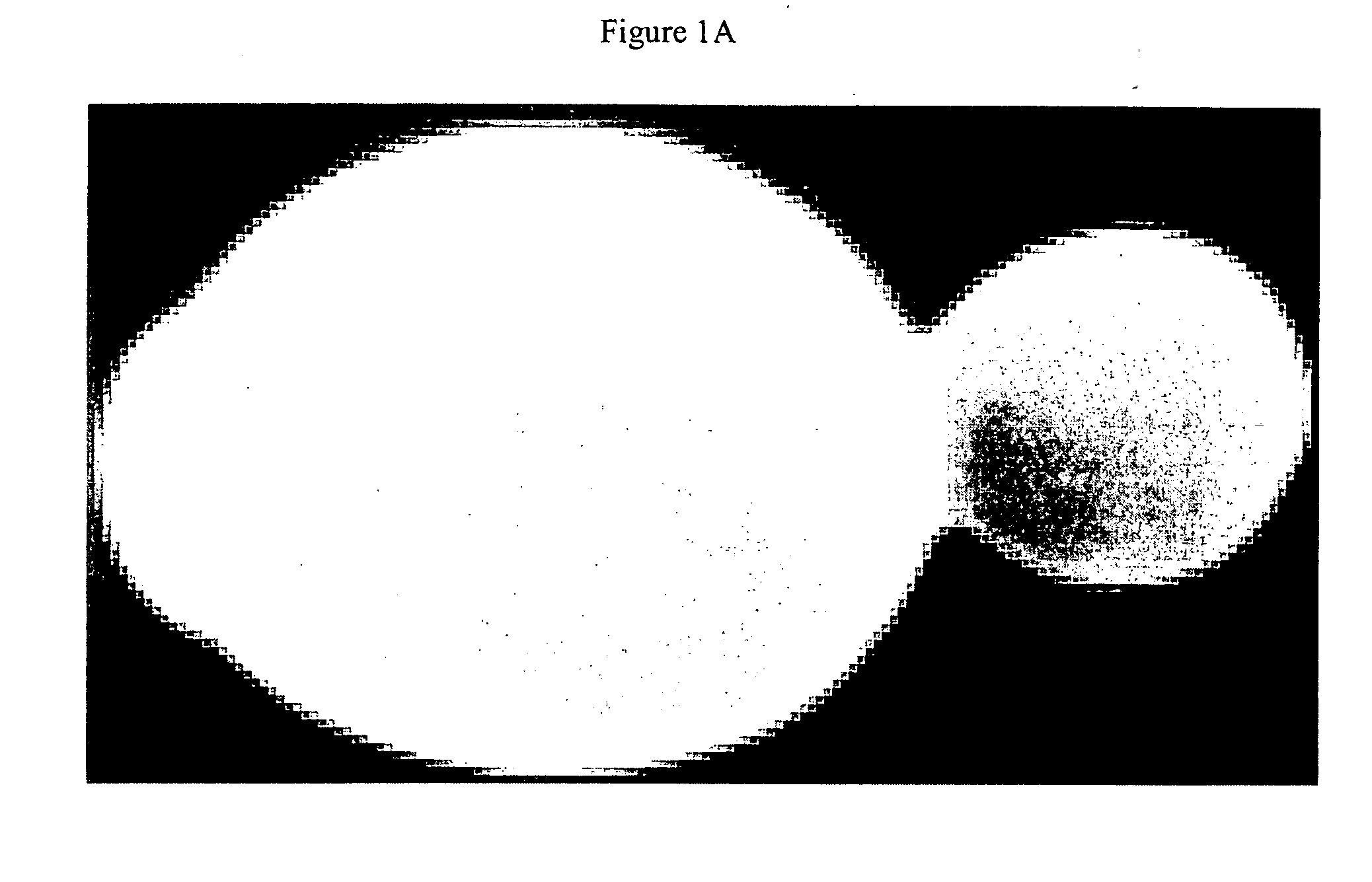 Microfluidic systems for biological and molecular analysis and methods thereof