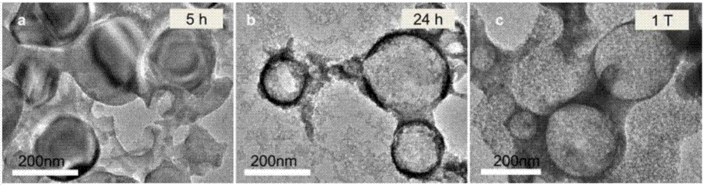 Method for preparing hollow/mesoporous nano structure material by adjusting Kirkendall effect through magnetic field