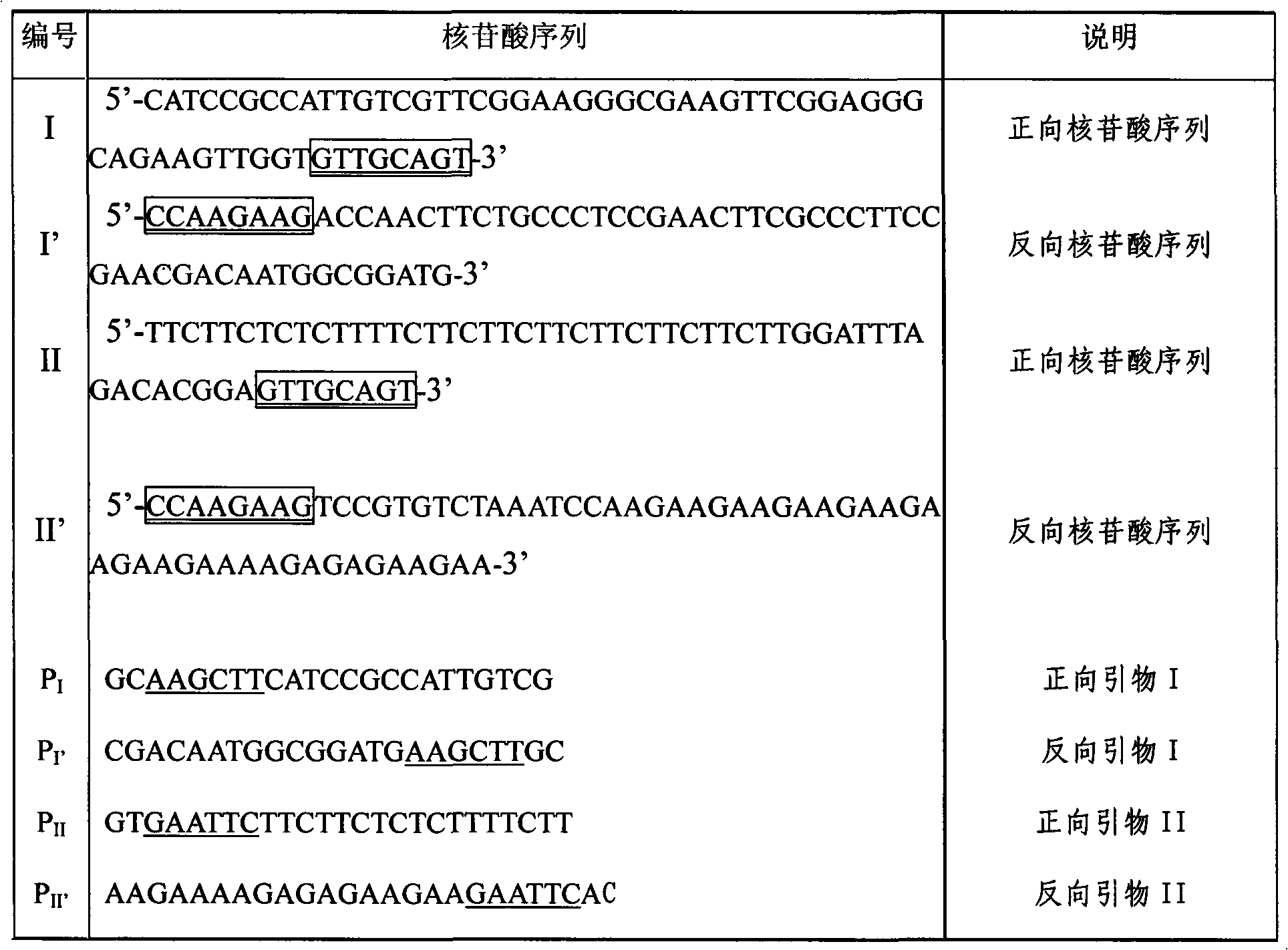 Method for preparation of plant suspension culture small cell line by interfering expansin gene Exp2