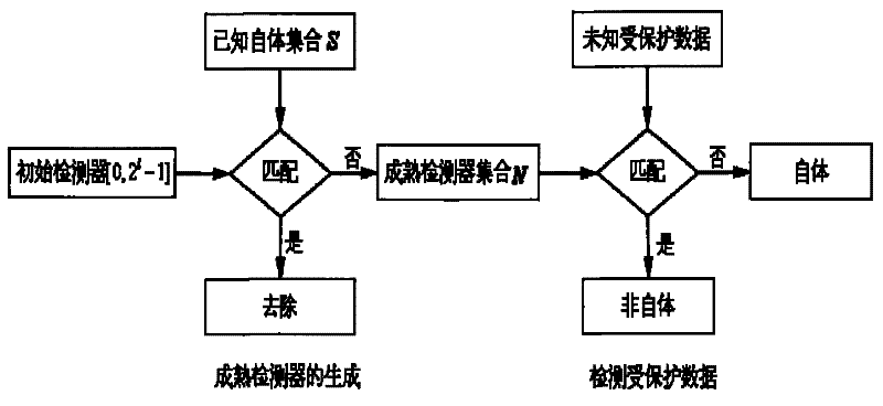 Generation of detectors and detecting method