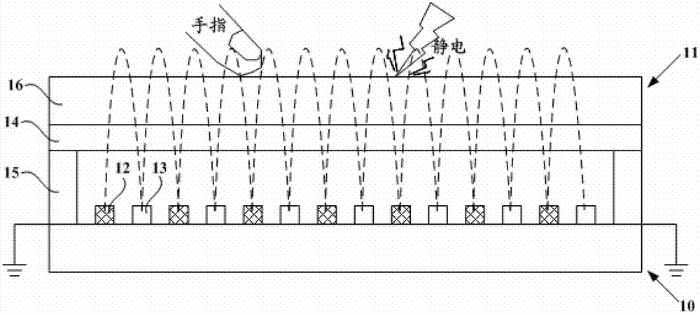 Touch display screen and touch display device