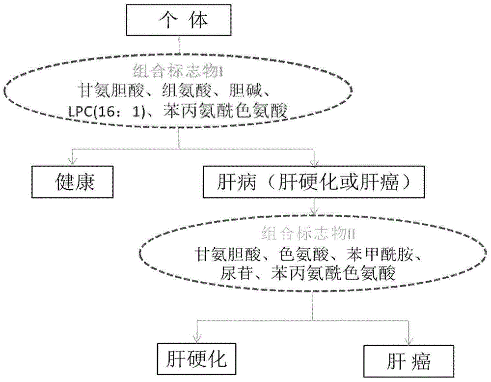 Novel serum metabolite composition and application thereof as liver cancer diagnosis marker