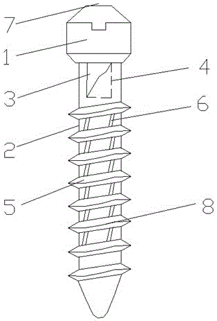 Improved self-tapping screw