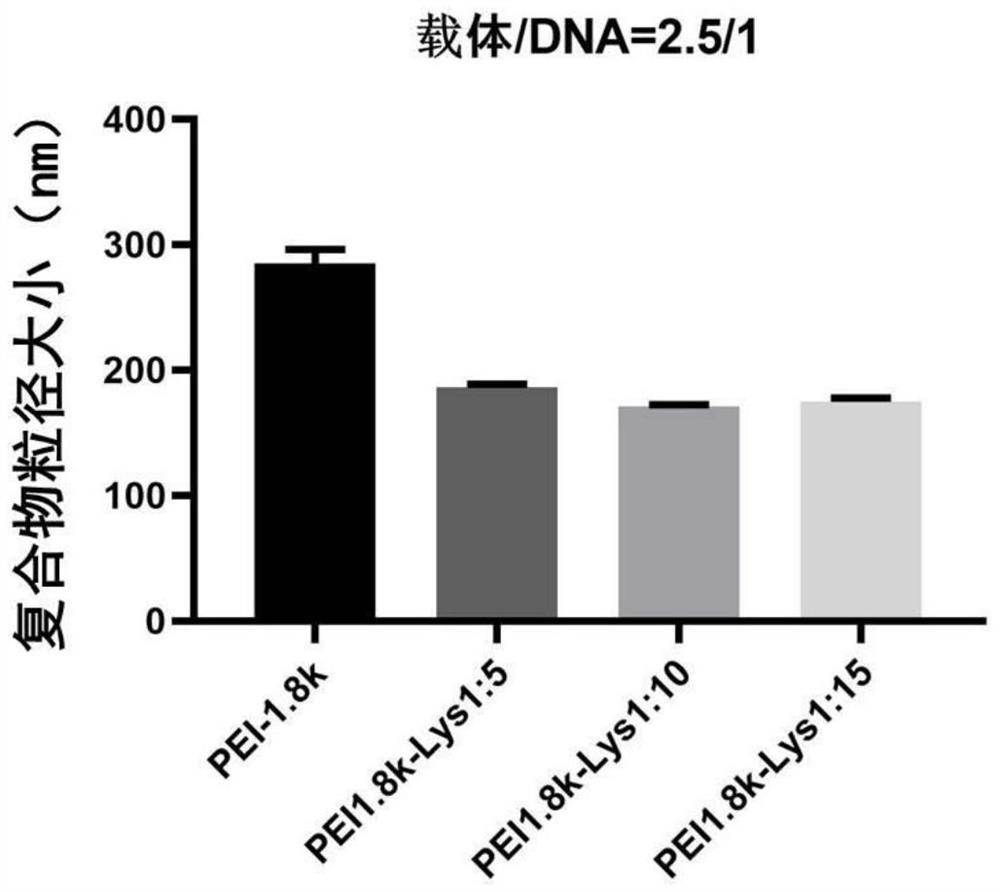 Lysine grafted polyethyleneimine cation gene vector as well as preparation method and application thereof