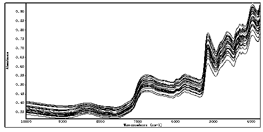 Method for detecting main components in tea leaves by adopting near infrared spectrum