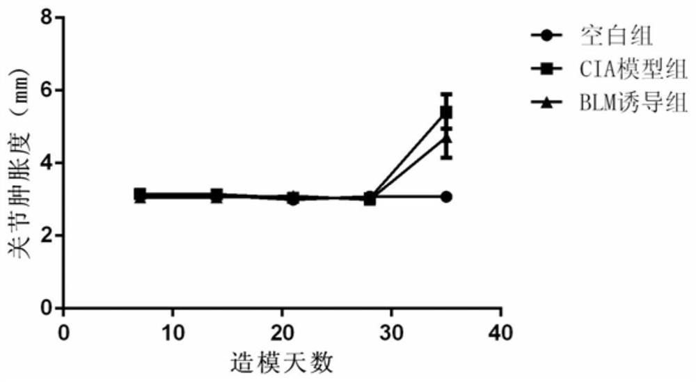 A method for constructing an animal model of rheumatoid arthritis combined with interstitial lung disease