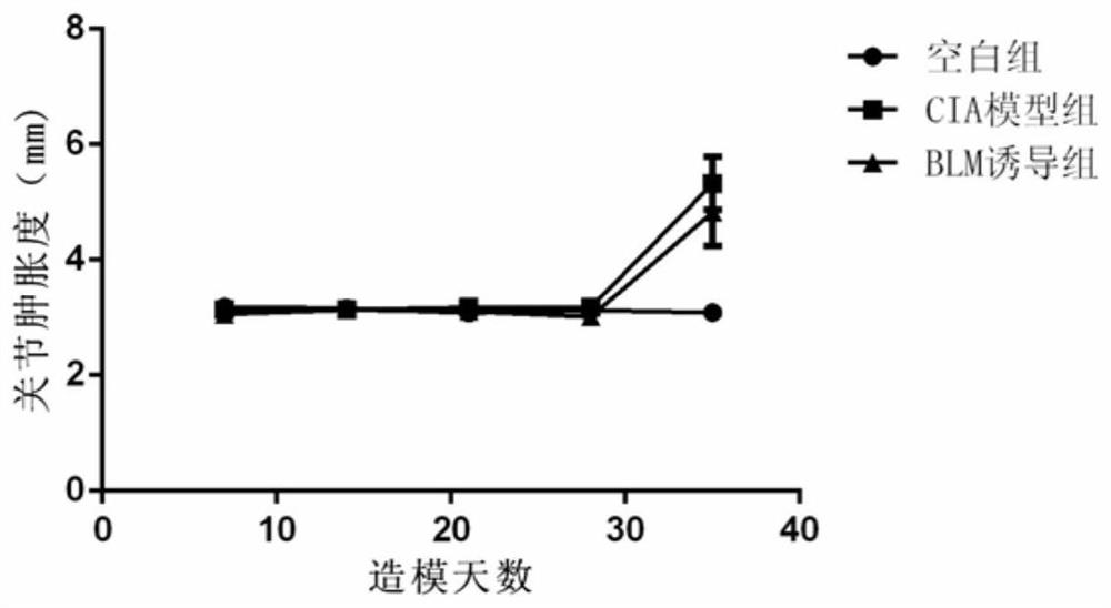 A method for constructing an animal model of rheumatoid arthritis combined with interstitial lung disease