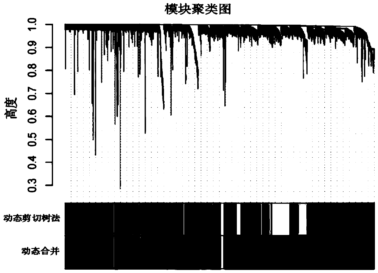 Novel screening method for multiple myeloma prognosis gene