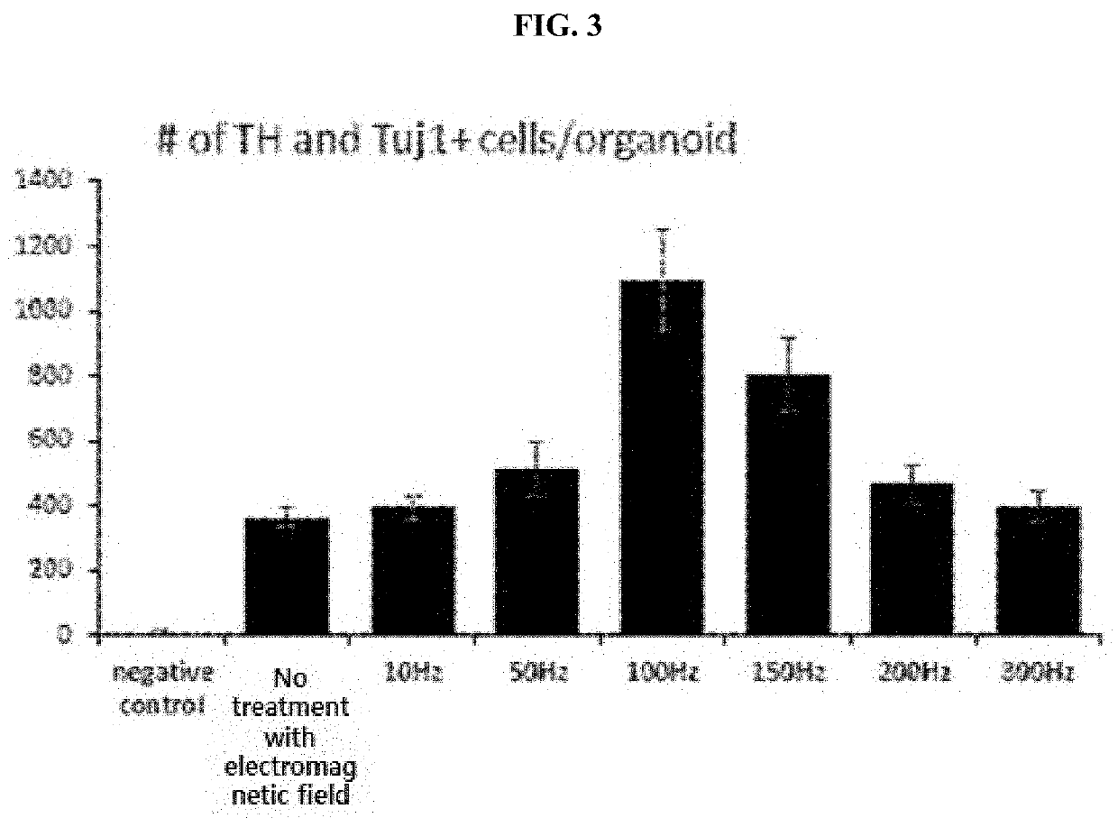 Method for efficiently producing 3D midbrain-like organoid through specific electromagnetic wave processing