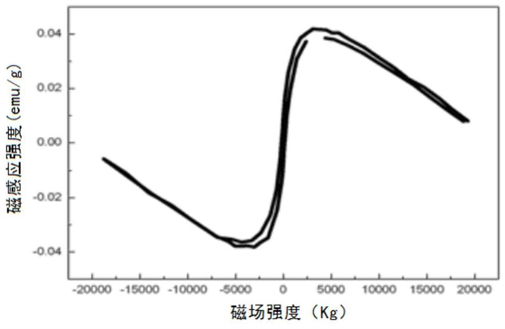 Preparation method of anti-tumor nano robot