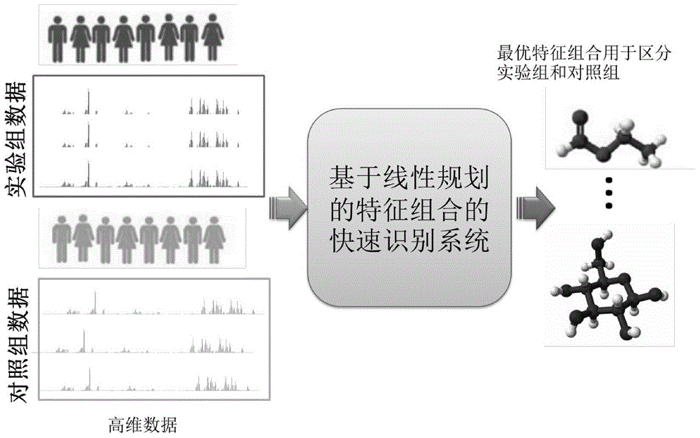 A method and system for quickly identifying feature combinations in high-dimensional data