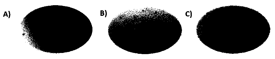 Preparation method of chiral light-controlled oxygen-deletion molybdenum oxide nanometer particles and purpose of chiral light-controlled oxygen-deletion molybdenum oxide nanometer particles to photothermal therapy of tumors