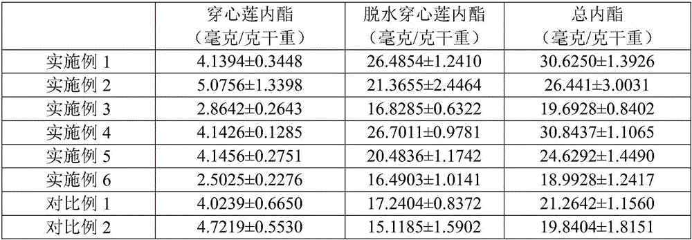 Method for increasing content of lactone in common andrographis herb medicinal material through drought of harvesting time