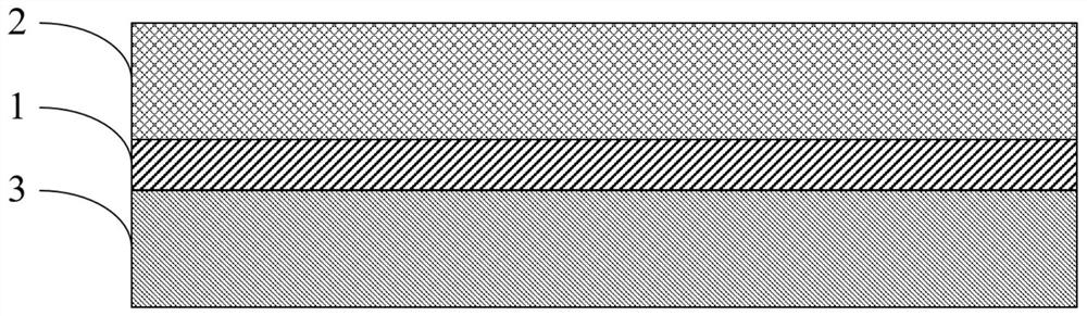 Positive plate and application thereof