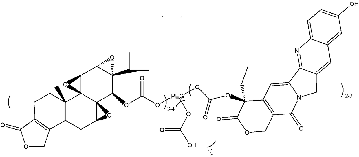 Triptolide-multiarm polyethylene glycol-hydroxycamptothecine binder nanoparticle and preparation method thereof