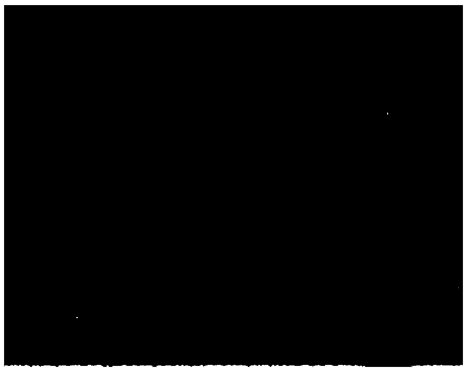 Triptolide-multiarm polyethylene glycol-hydroxycamptothecine binder nanoparticle and preparation method thereof