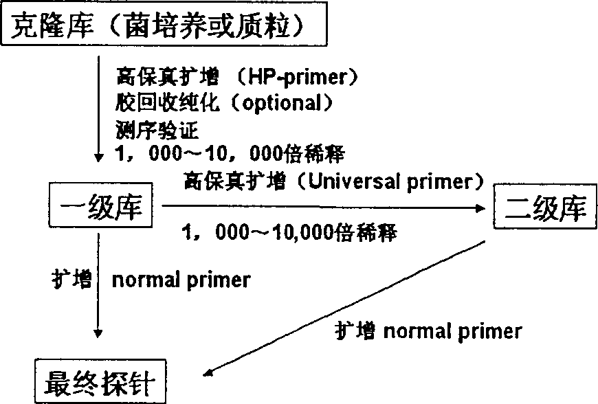 Method for preparing nucleic acid probe library