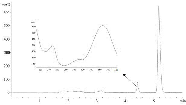 Chromatographic analysis method of dehydroevodiamine