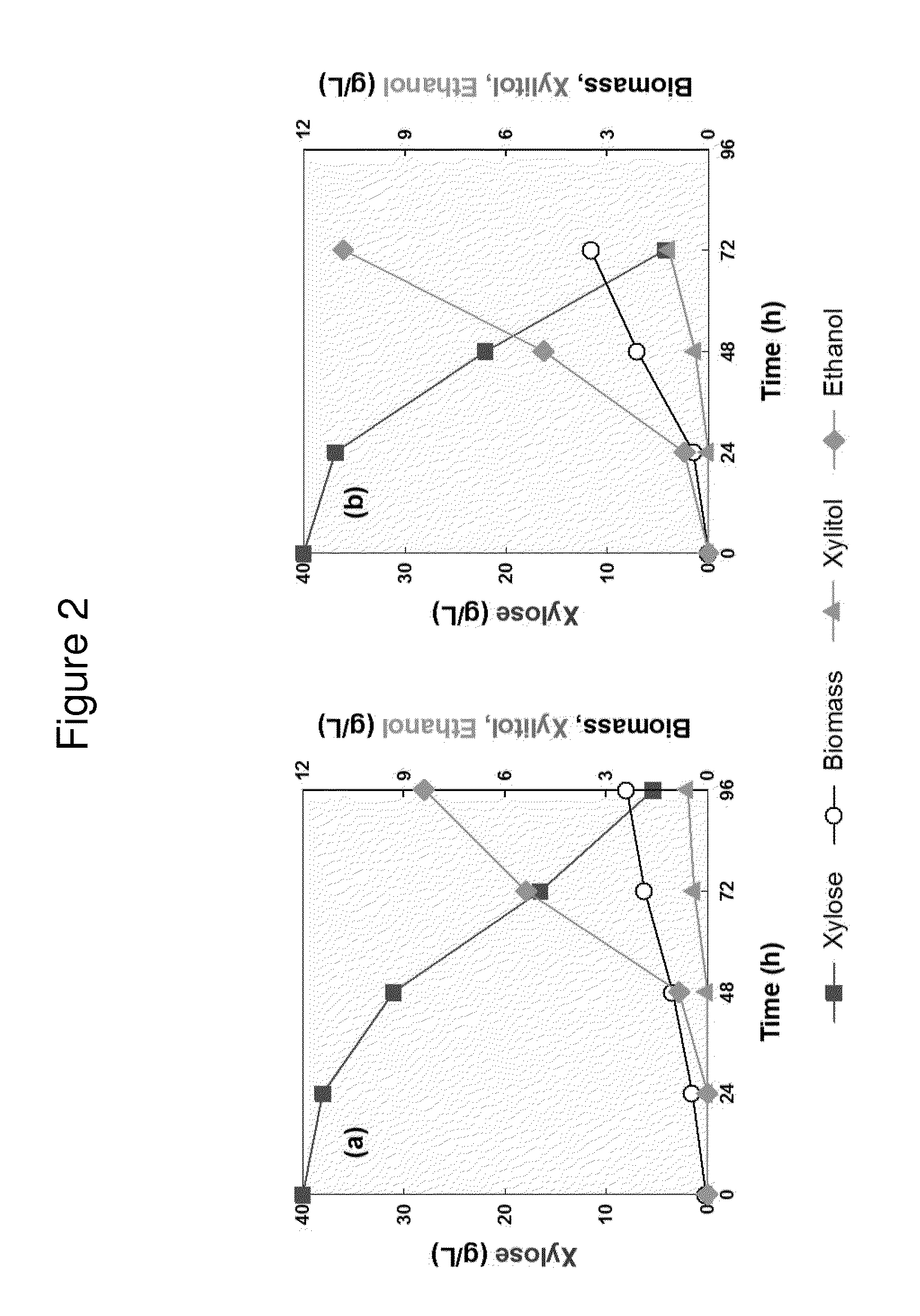 Xylose-fermenting microorganism