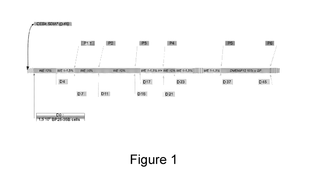 Method for selecting a permissive cell line for replicating avian viruses