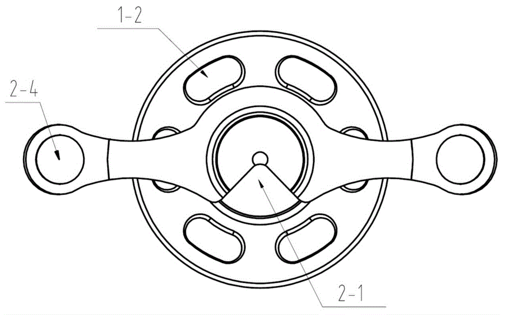 Disposable anorectal visual mucous membrane protection fixing device