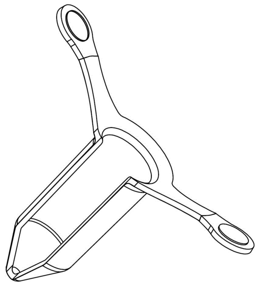 Disposable anorectal visual mucous membrane protection fixing device