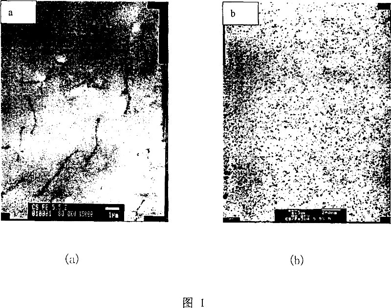 Method for preparing ordered ferriferrous oxide/chitosan nanometre composite material