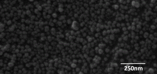 Preparation method of monodisperse super paramagnetic ferroferric oxide nanoparticles and ferroferric oxide nanoparticles