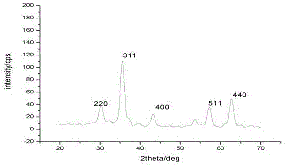 Preparation method of monodisperse super paramagnetic ferroferric oxide nanoparticles and ferroferric oxide nanoparticles