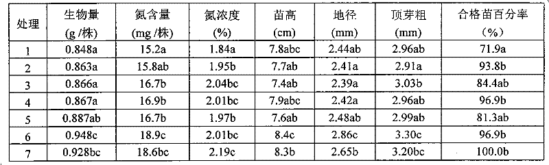 A method for applying nitrogen fertilizer to Chinese pine container seedlings