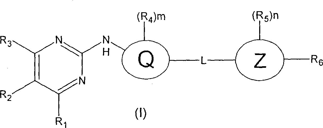 Aminopyrimidine compounds and their salts, process for preparation and pharmaceutical use thereof