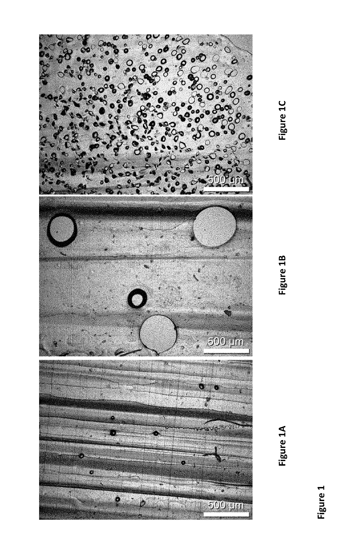 Absorbent polymeric foam for shoe insoles