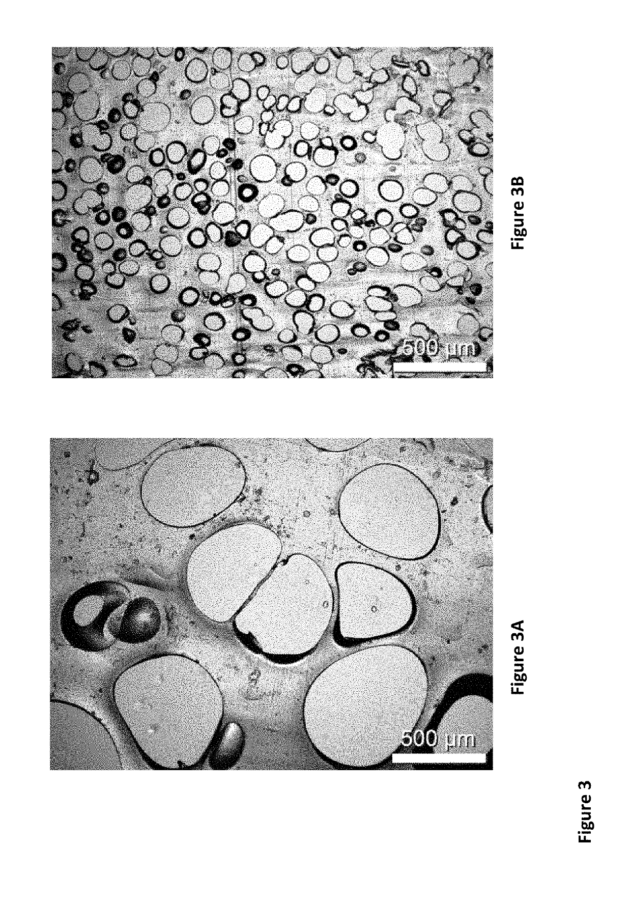 Absorbent polymeric foam for shoe insoles