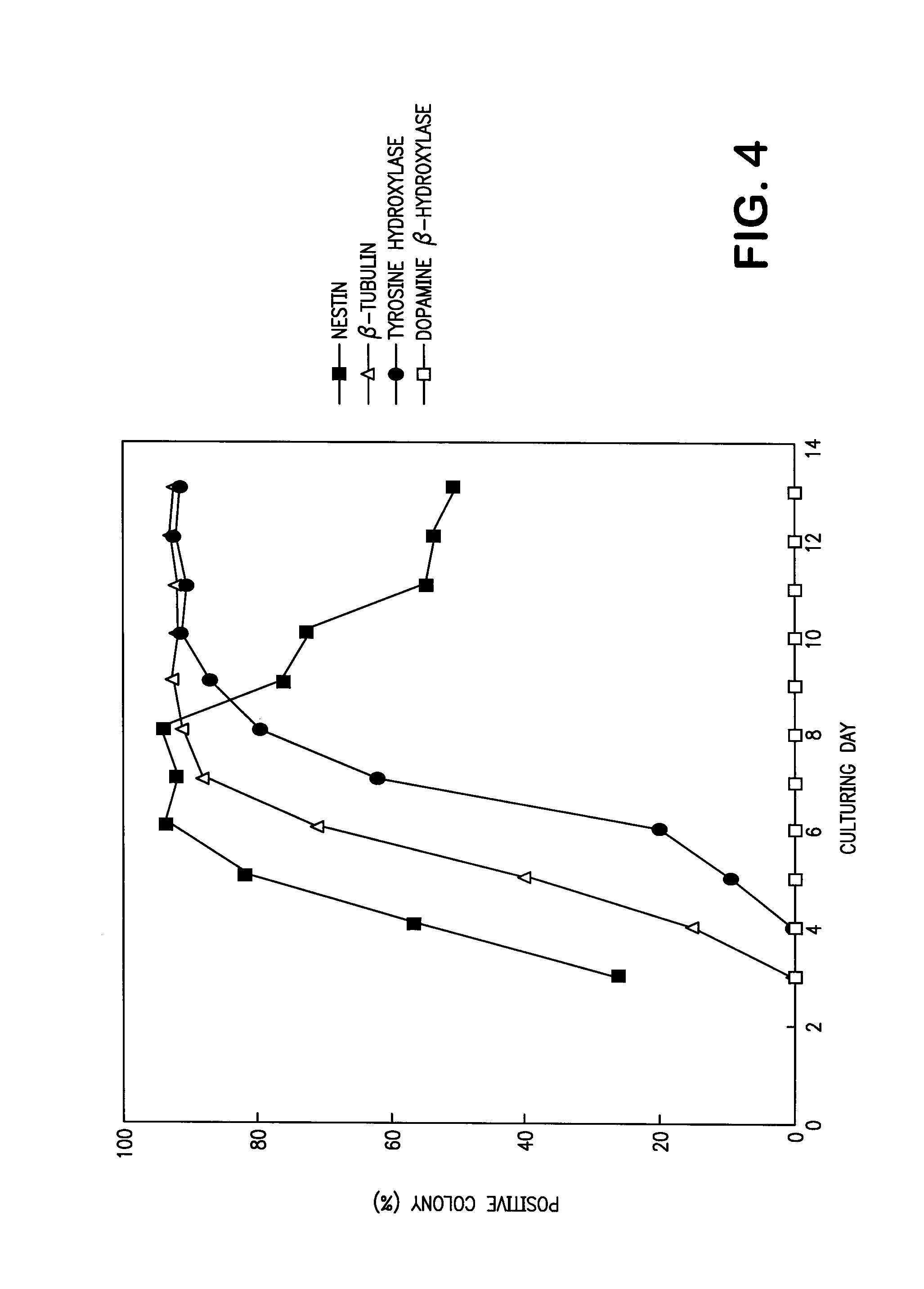 Process of inducing differentiation of embryonic cell to cell expressing neural surface marker using OP9 or PA6 cells