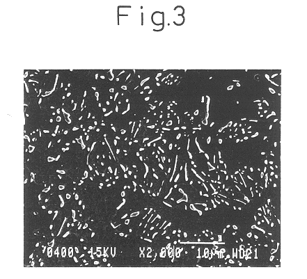 Cold workable steel bar or wire and process