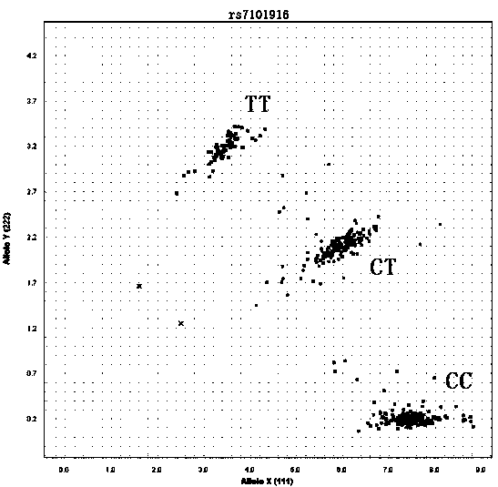 Application of rela gene rs7101916snp in the preparation and detection of hepatitis C susceptibility products