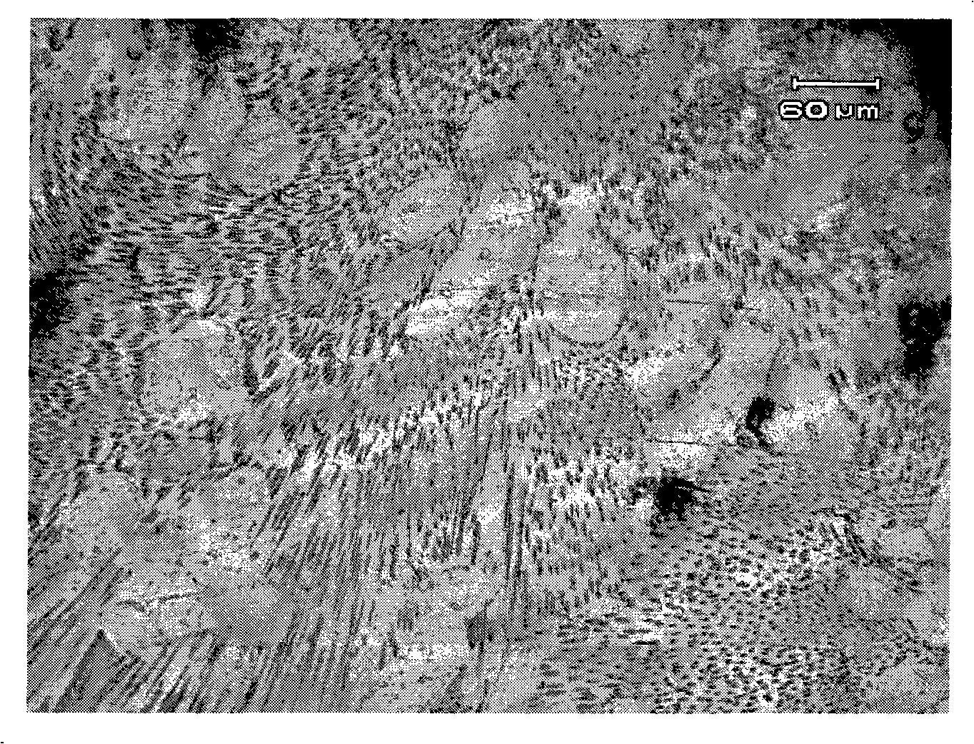 Silicon carbide granule enhancement type tin-silver-zinc compound solder and manufacture method thereof