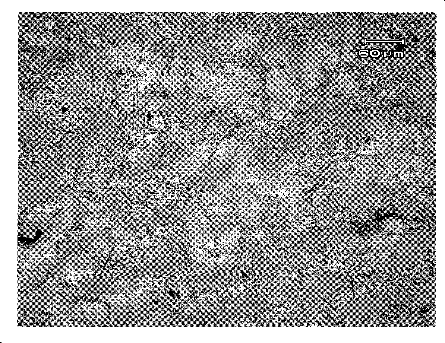 Silicon carbide granule enhancement type tin-silver-zinc compound solder and manufacture method thereof