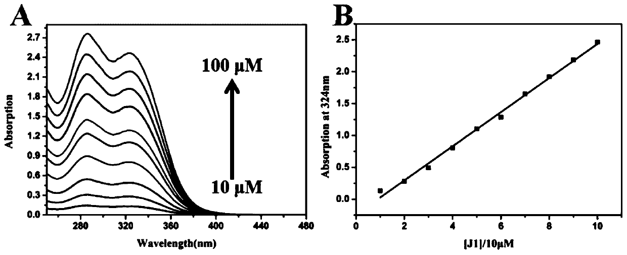 A kind of ribosomal rRNA two-photon fluorescent probe-quaternary ammonium salt terpyridine derivative and its preparation method and application