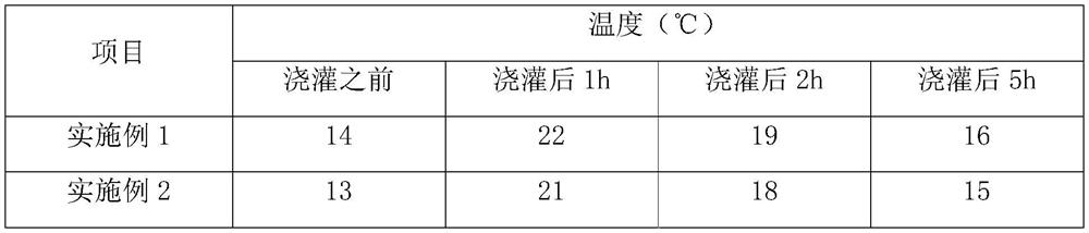 A special fertilizer for melon soilless cultivation and preparation method thereof