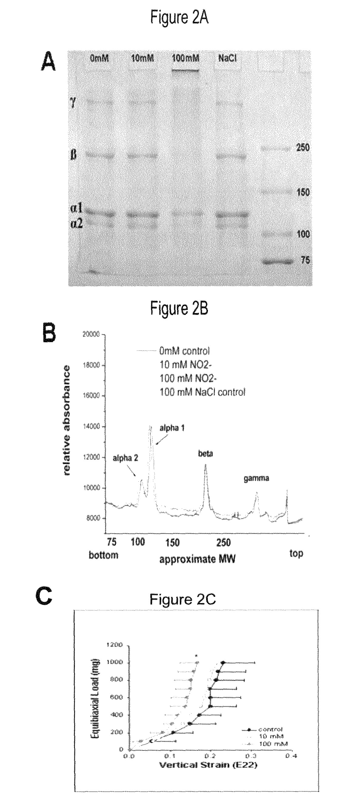 Method of stabilizing human eye tissue by reaction with nitrite and related agents such as nitro compounds