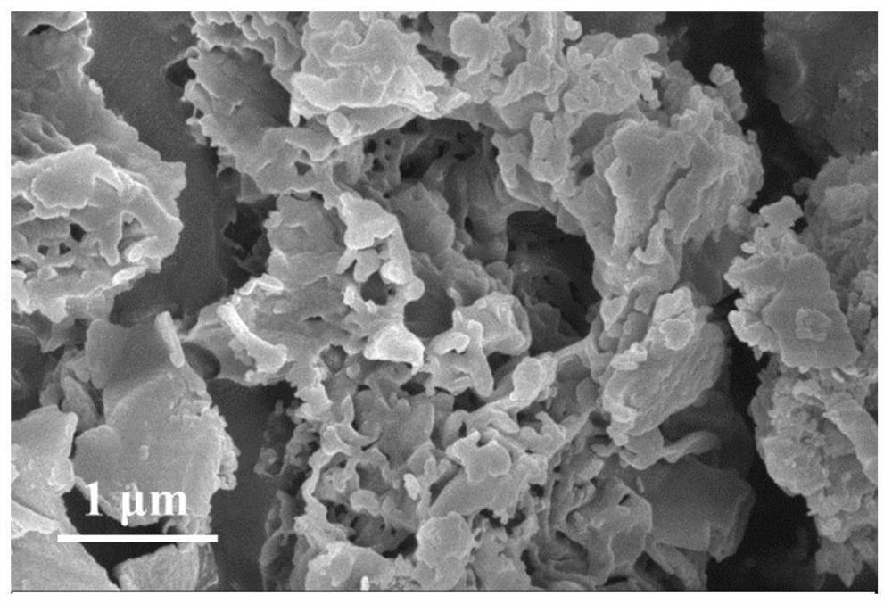 PDDA protonated graphite phase carbon nitride, preparation method and application thereof