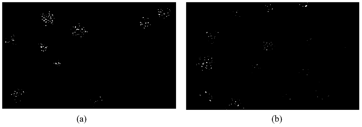 NIR-II fluorescence enhancement liposome and preparation method and application thereof