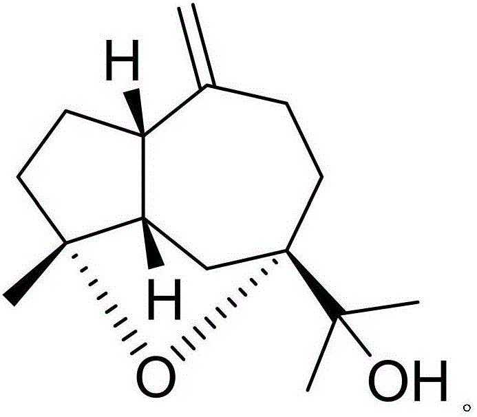 Medicinal composition of gemfibrozil and medicinal application of medicinal composition