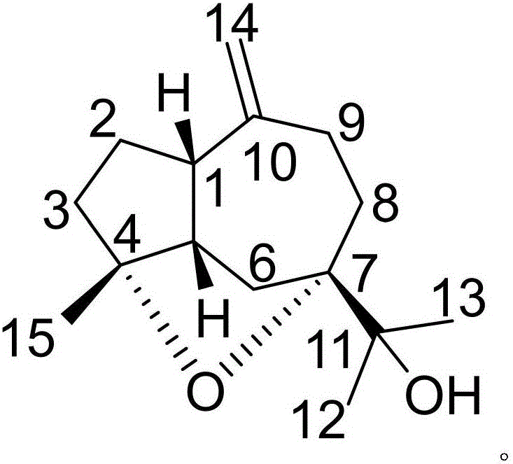 Medicinal composition of gemfibrozil and medicinal application of medicinal composition