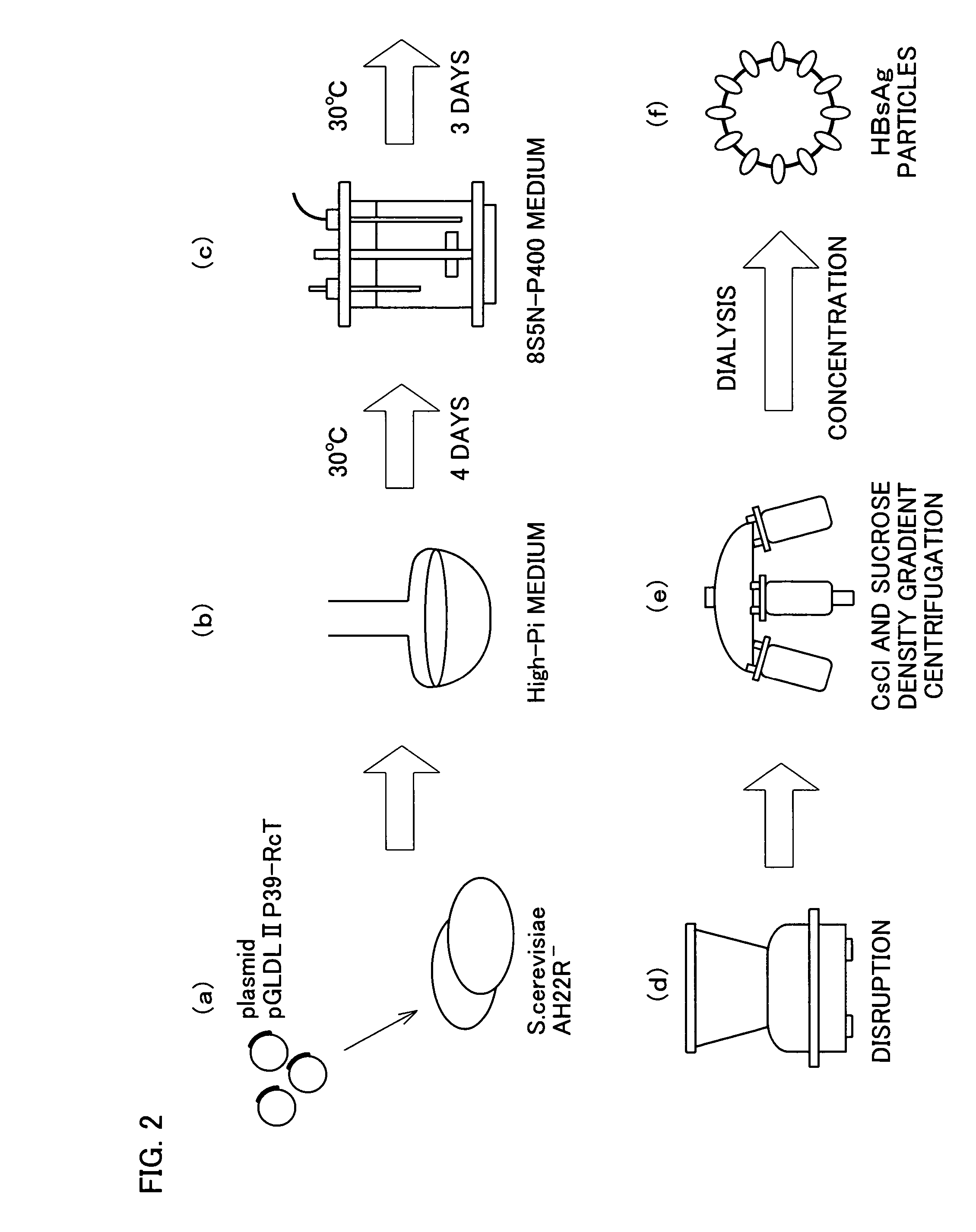 Hollow nanoparticle of NBsAg large protein for drug delivery