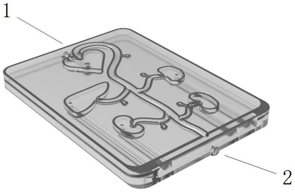 Visceral aneurysm interventional operation model based on 3D printing and manufacturing method