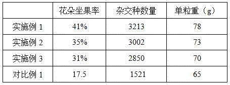 Prunus salicina hybridization breeding method