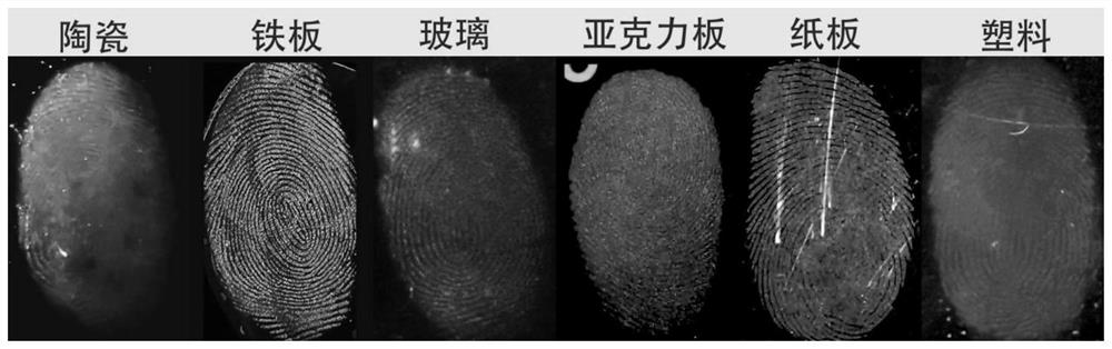 Fluorescent dye probe for latent fingerprint detection as well as preparation method and application of fluorescent dye probe